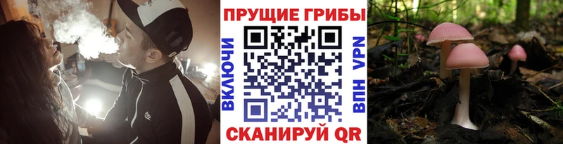 Галлюциногенные грибы MAGIC MUSHROOMS  купить   Городец 